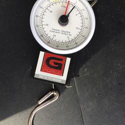 Scale