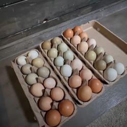 Farm Fresh Eggs 