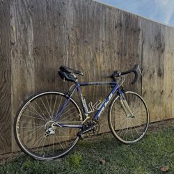 Fuji Roubaix