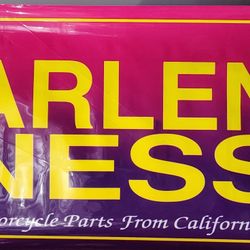 ARLENNESS Promo Poster