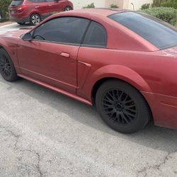 Ford  Mustang 