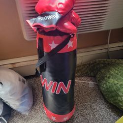 Kids Boxing Bag And Gloves 