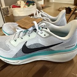 Mens Nike Air Zoom Pegasus 41 shoes color: white and dusty cactus Size: 10.5 men