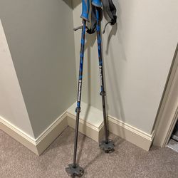 Black diamond Self Arrest Tracking Poles 