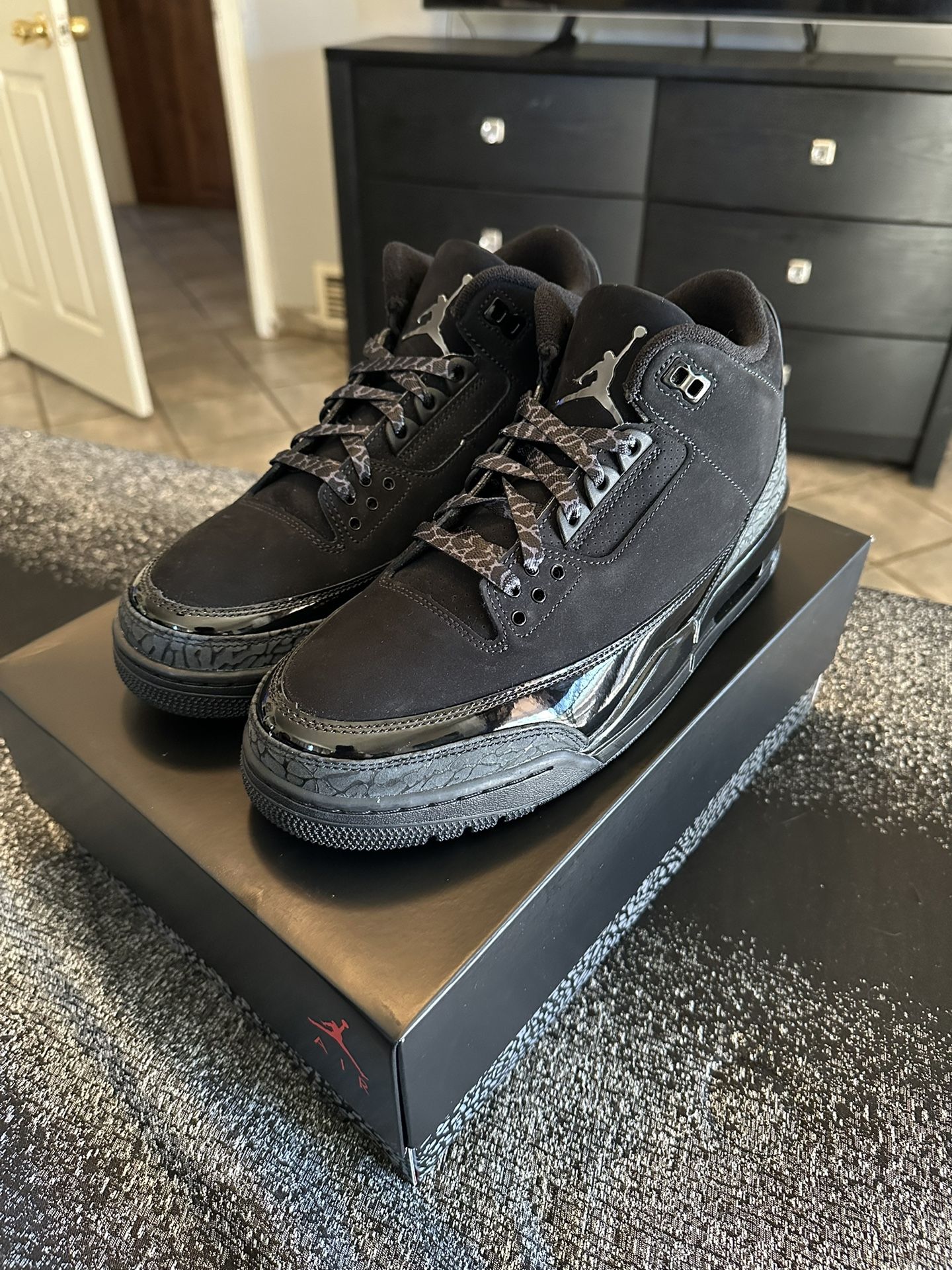 2025 Jordan 3 ( Black Cats) 
