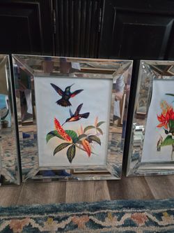 Hummingbird Art oil on canvas in Mirrored Frame