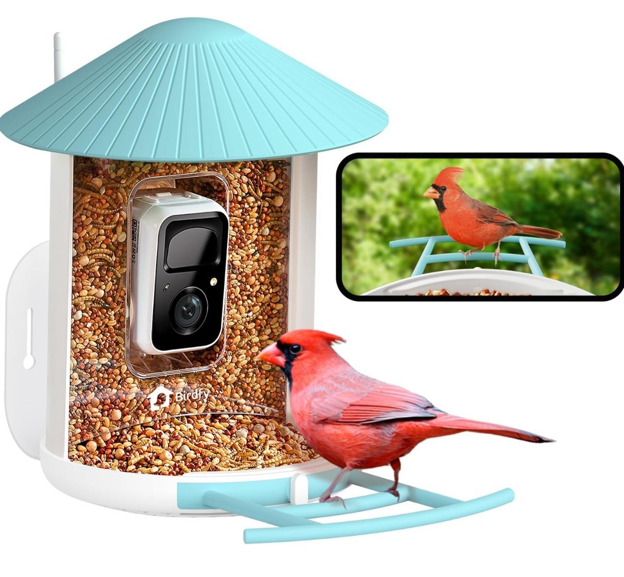 Birdfy Smart Bird Feeder with Camera, Bird Watching Camera, Auto