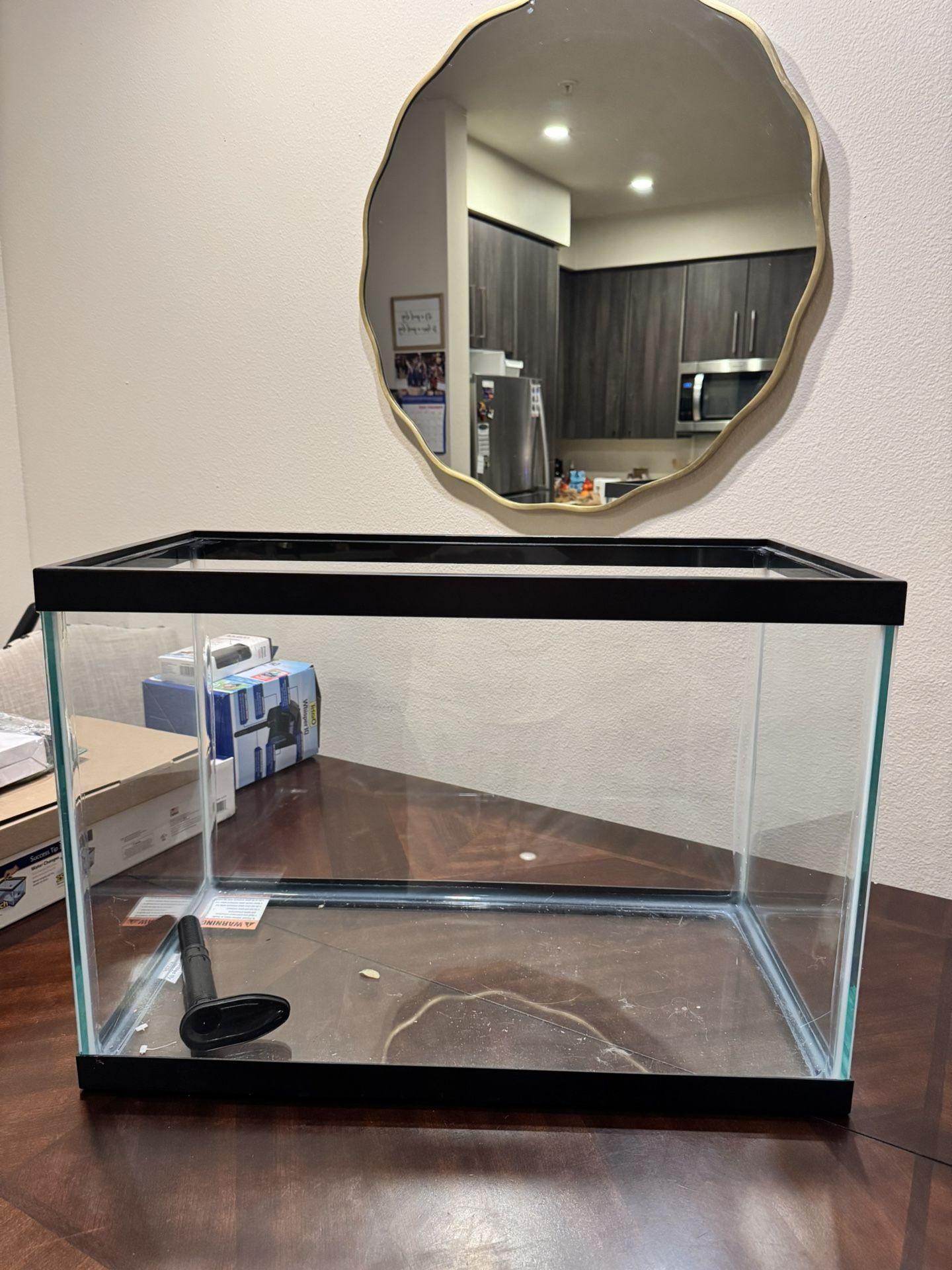 Fish Tank Perfect Starter Kit Everything Included 
