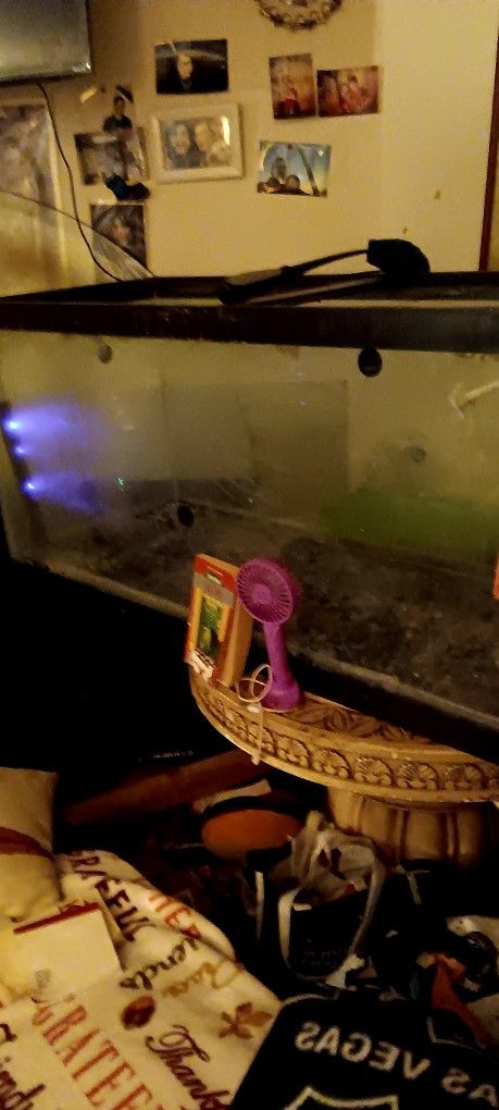 Fish Tank 90 Gallons