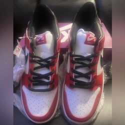 Nike Dunk Low SB 'J-Pack Chicago' BRAND NEW" SIZE 10