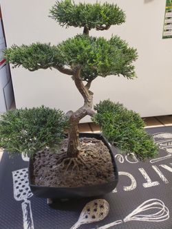 Árbol 🌳 Decorativo!