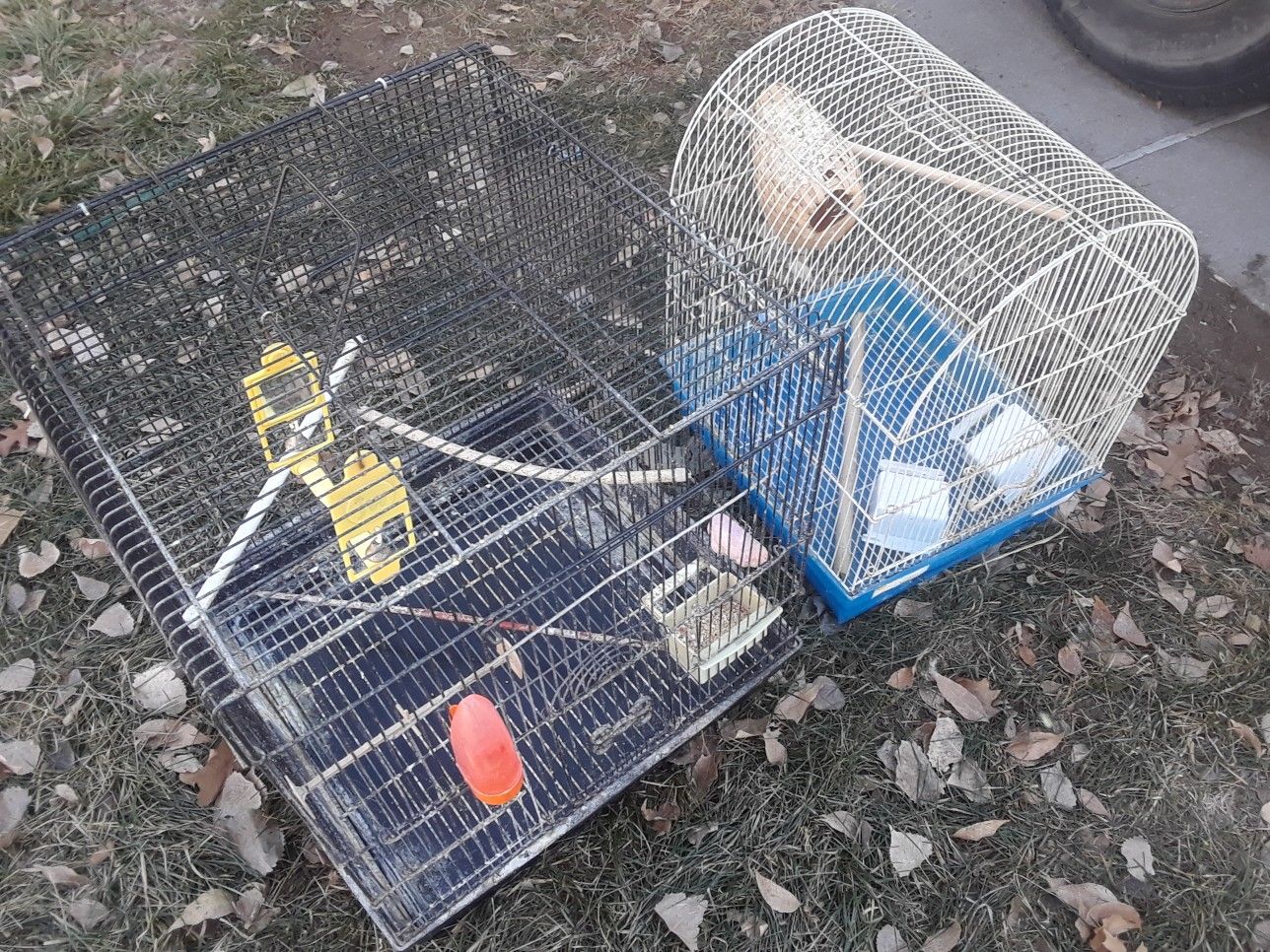 Bird Cages