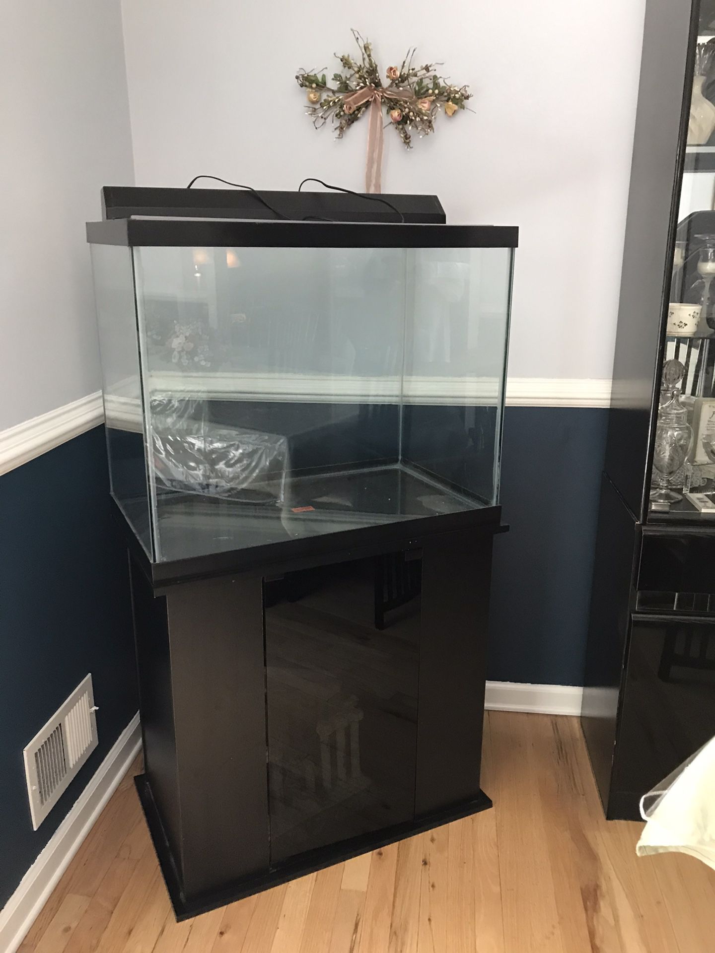 55 gallon fish tank with black stand