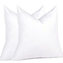 Throw Pillow Inserts 22 x 22- New