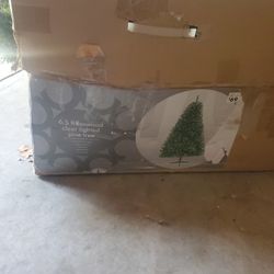 Used Christmas Tree 