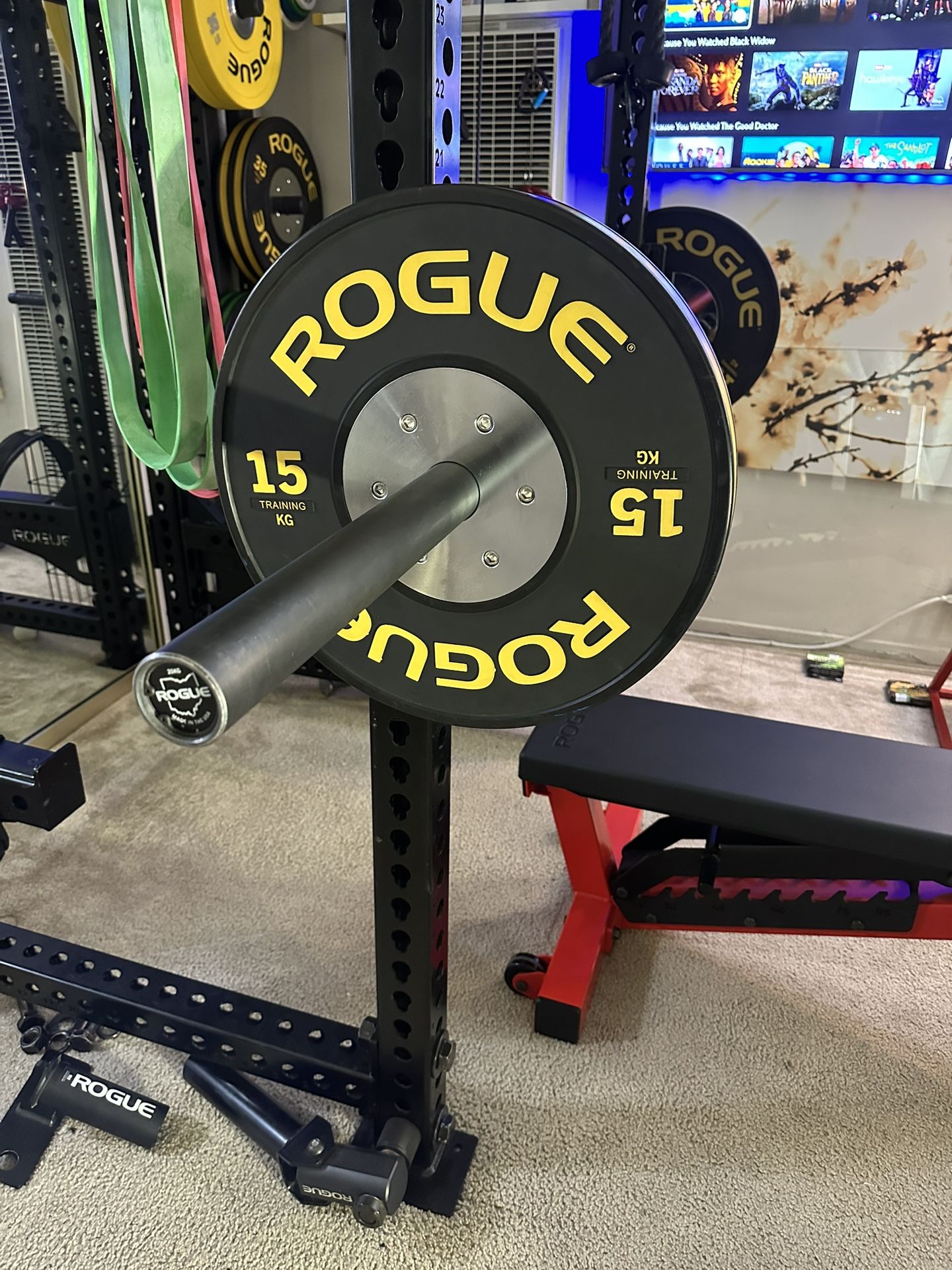 ROGUE BLACK TRAINING 15KG PLATES