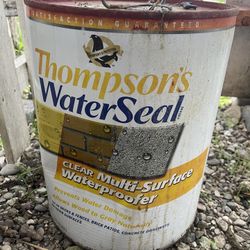 Thompson 5 Gal Water Seal 
