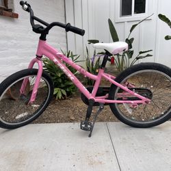 Trek 20” Kids Bike 