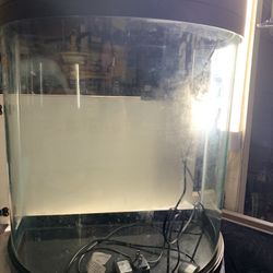 Fish Aquarium 
