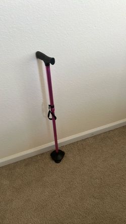 Cane