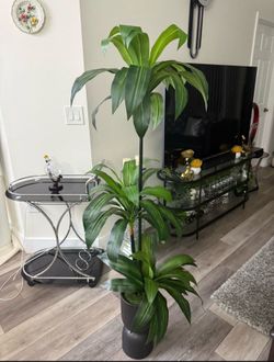 Pretty artificial plant 5 ft tall with tall planter