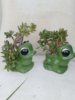 Set of two plant decor