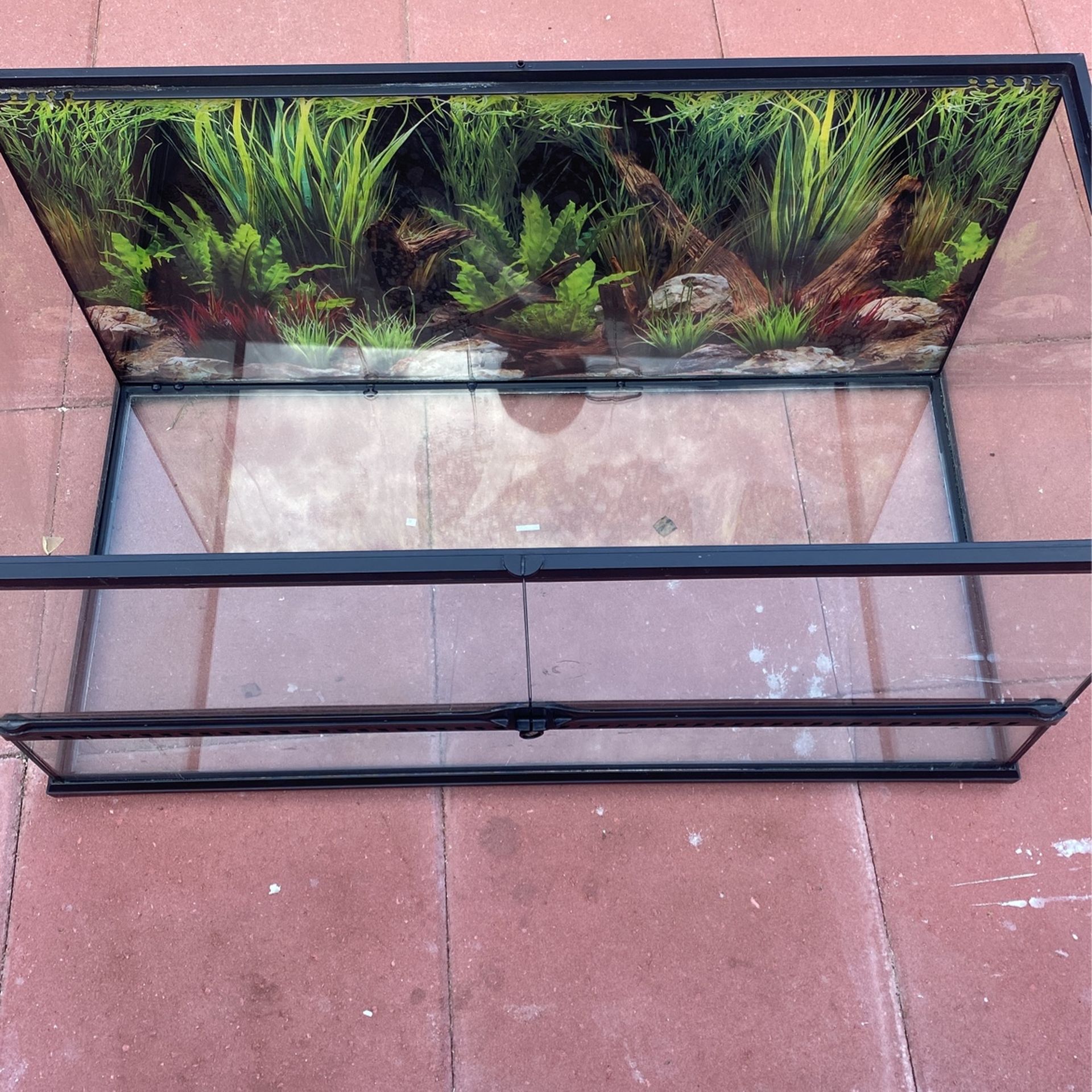 40 Gallon Terrarium