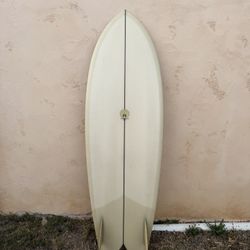 Michael Miller Fish Surfboard