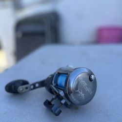 Avet MXL G2 6/4 2 Speed Reel