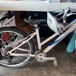 Giant Revel Ladies Mountain Bike