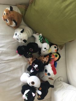 Beanie Boos