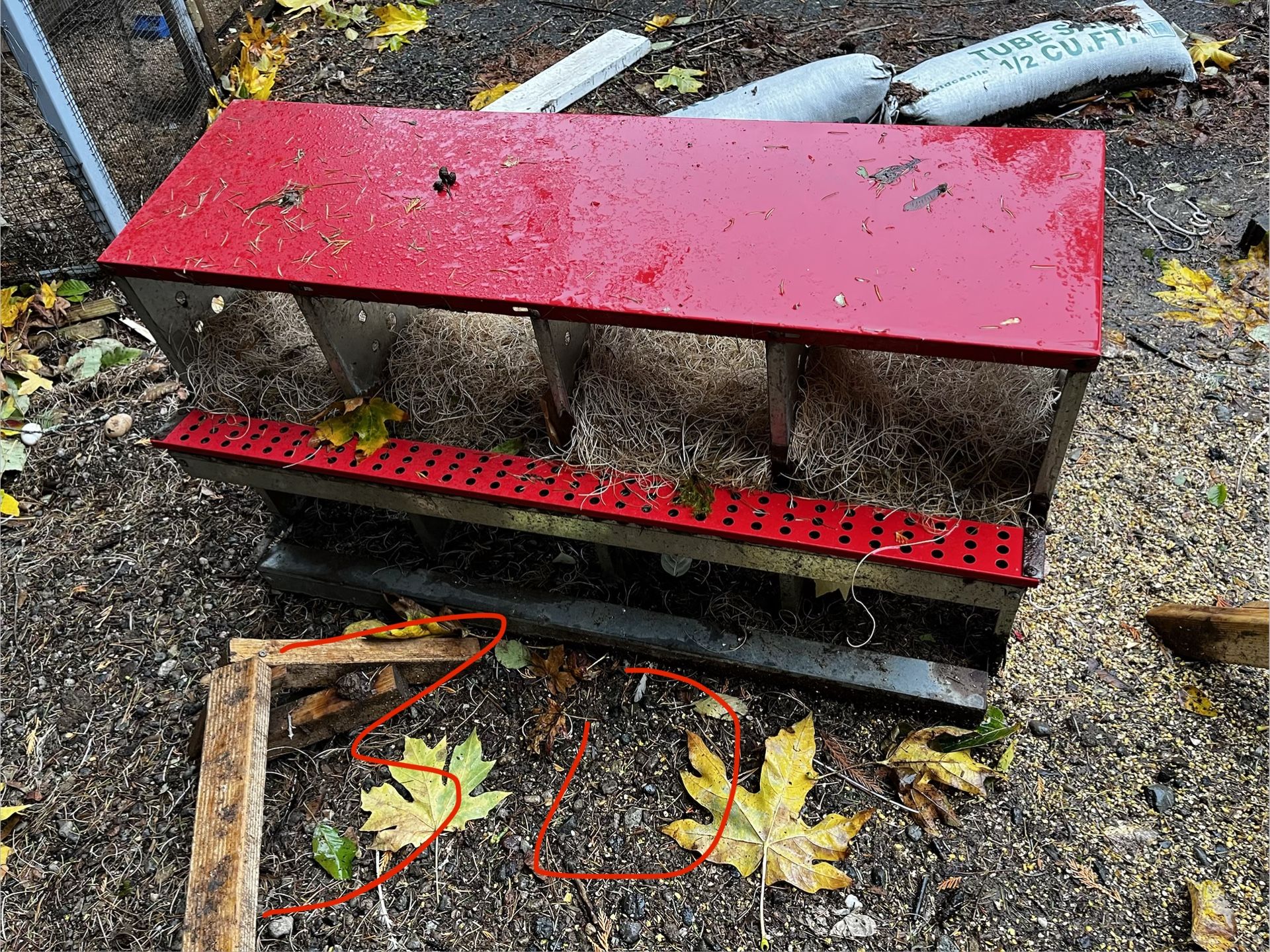 Chicken Feeders Waterer And Nesting Box
