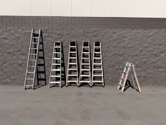 LADDERS