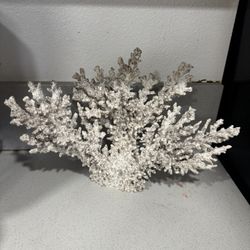 Coral Decoration 