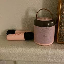 Wireless Microphone And Bluetooth Speaker And Charger