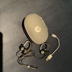 Beats - Powerbeats Wireless Bluetooth headphones