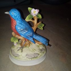 Blue Jay Decor