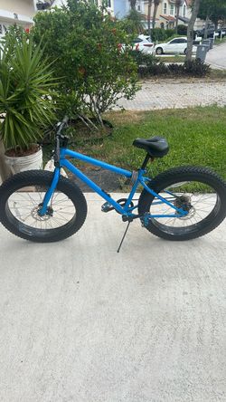 Fat tire bike