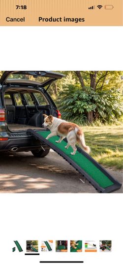 Dogs Ramp