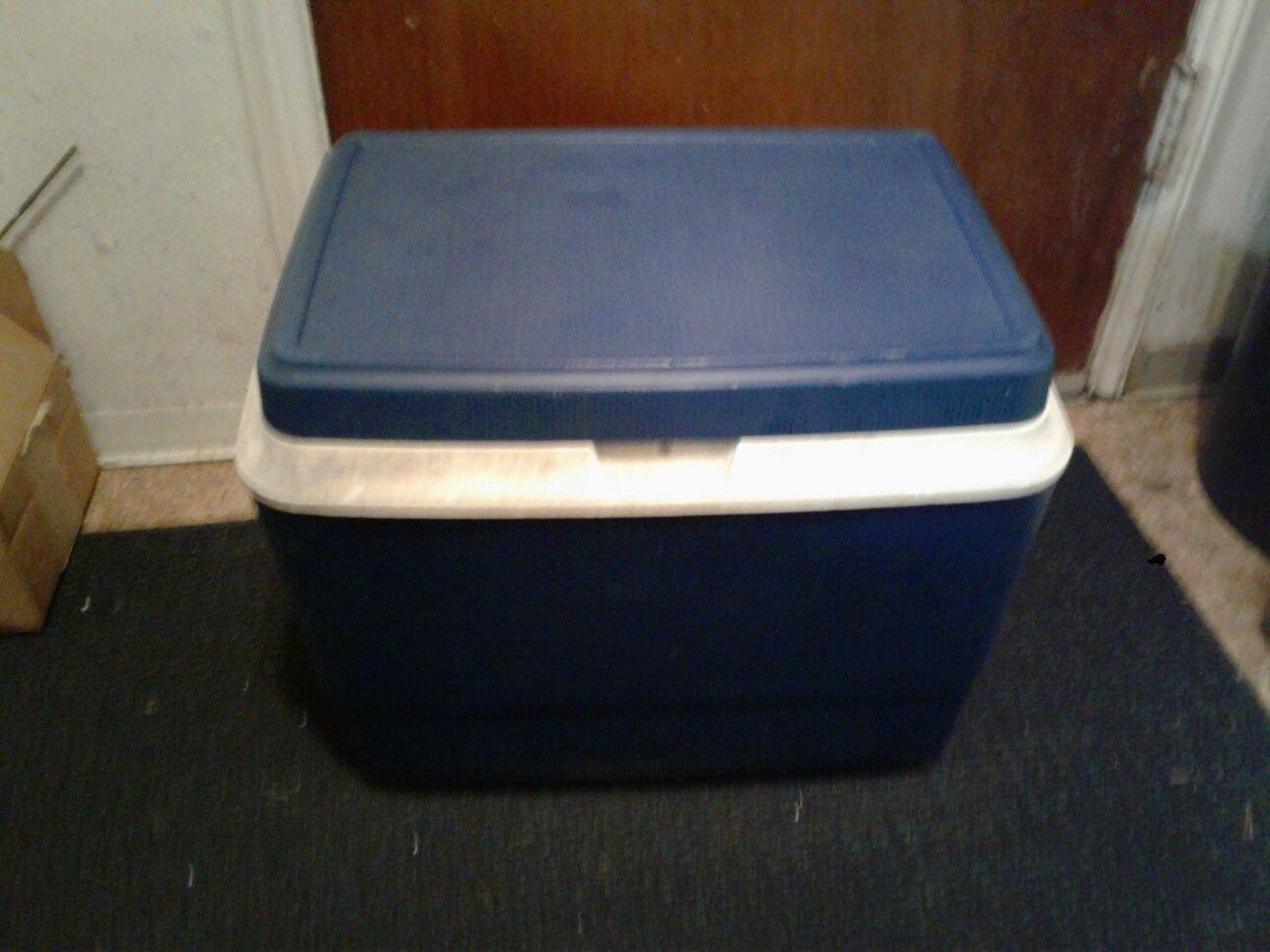 Coleman 54 quart cooler