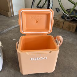 Hieleras Y Bicicleta Para Niña 