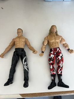 WWE Action Figure