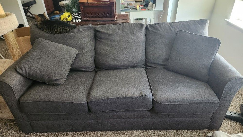 La-Z-Boy Pull Out Sofa