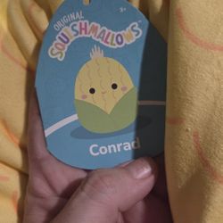 Squishmallow Brand New 