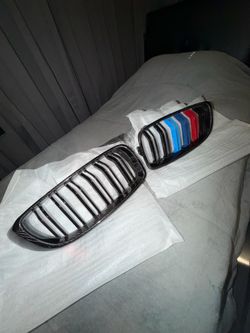 BMW F3X Series Carbon Fiber Grill Set With BMW M Stripe