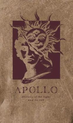 Apollo T Shirt XXL