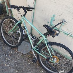 Nishiki  Backroads Vintage Mountain Bike