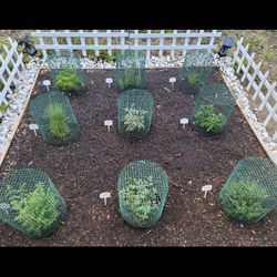 9 Handmade Wire Garden Cages & MANY MORE ITEMS POSTED HERE