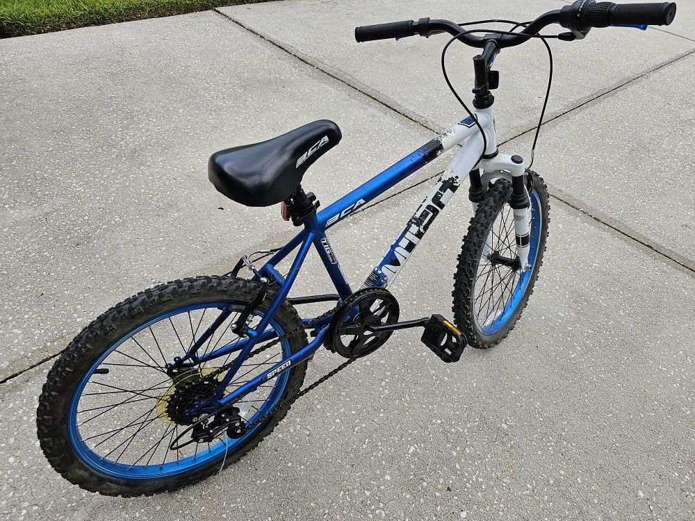 BCA 20 MT20 Mountain Boy s Bike Blue White for Sale in Land O Lakes FL OfferUp