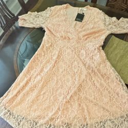 Pink Lace Dress -14W - New
